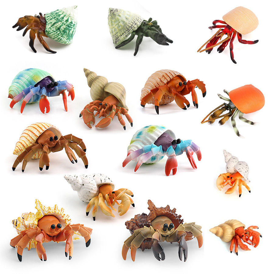 Kids Education Picture - Realistic Hermit Crab Figurine Durable PVC