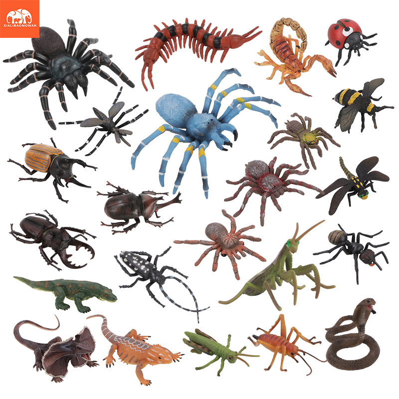 Kids Education Movies - Educational Simulation Insect & Wild Animal