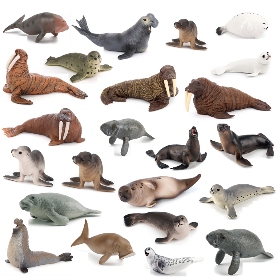 Realistic Dugong Manatee Walru - đánh giá và giá Kids Education Picture