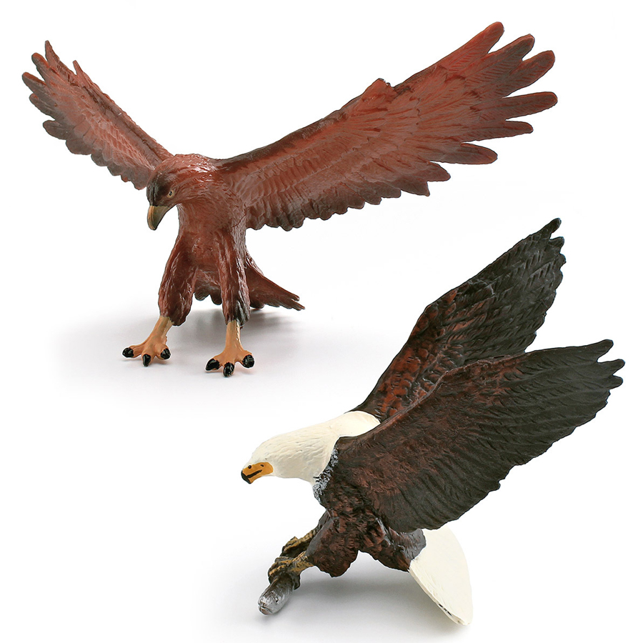 Realistic Wildlife Animal Bird - đánh giá và giá Kids Education Picture