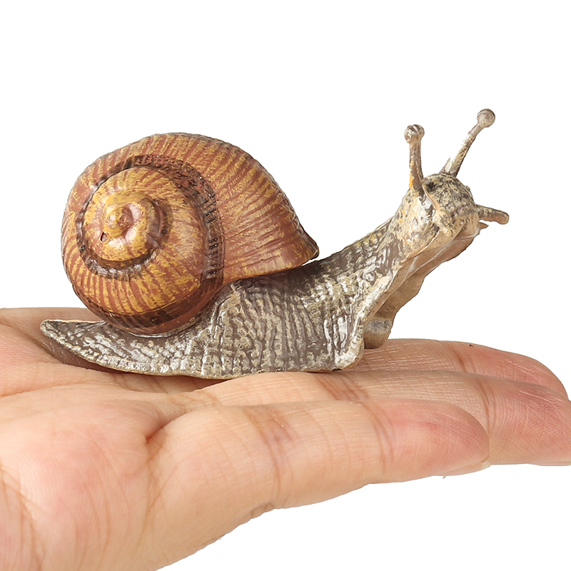 Oenux Wild Insect Animals Snai - đánh giá và giá Kids Education Picture