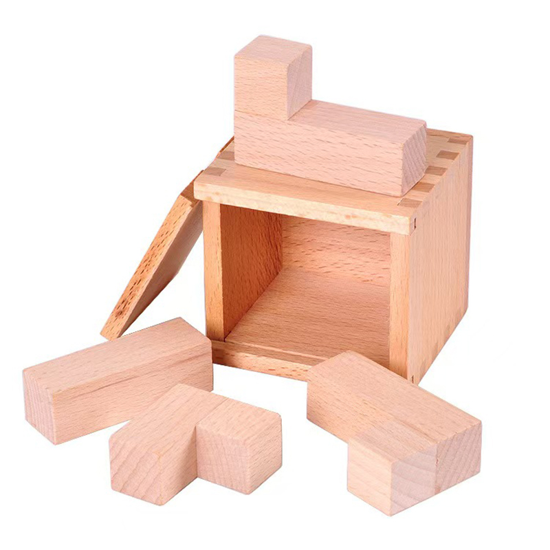 Magic IQ Oblique Placement of  - đánh giá và giá Brain Teaser Cube