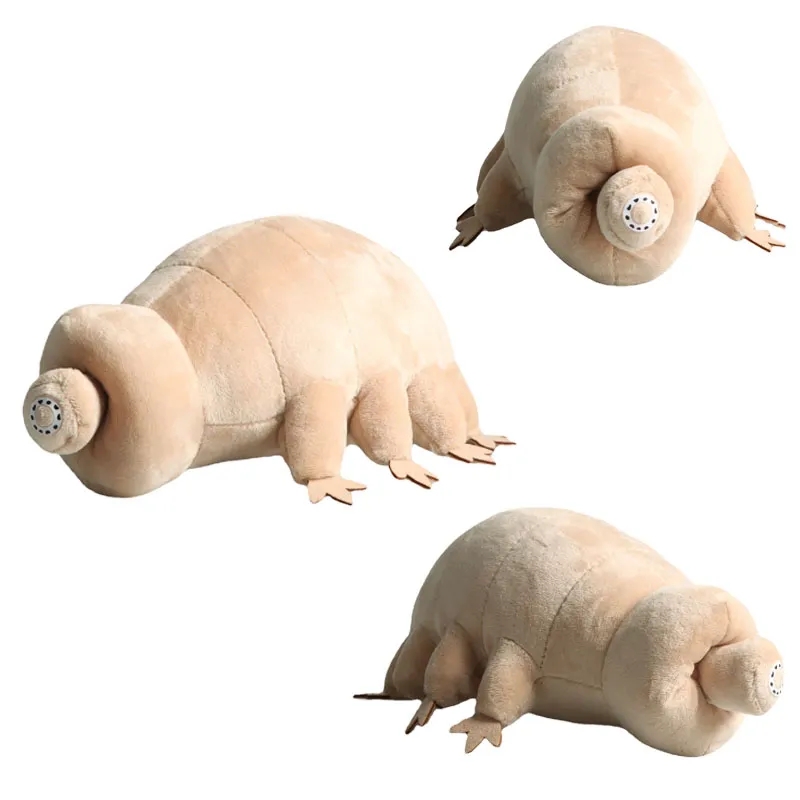 25cm Water Bear Tardigrade Plu - đánh giá và giá Kids Education Movies