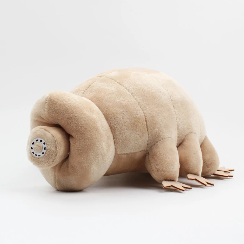 25cm Water Bear Tardigrade Plu - đánh giá và giá Kids Education Movies