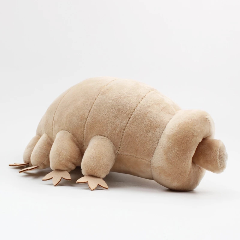 25cm Water Bear Tardigrade Plu - đánh giá và giá Kids Education Movies