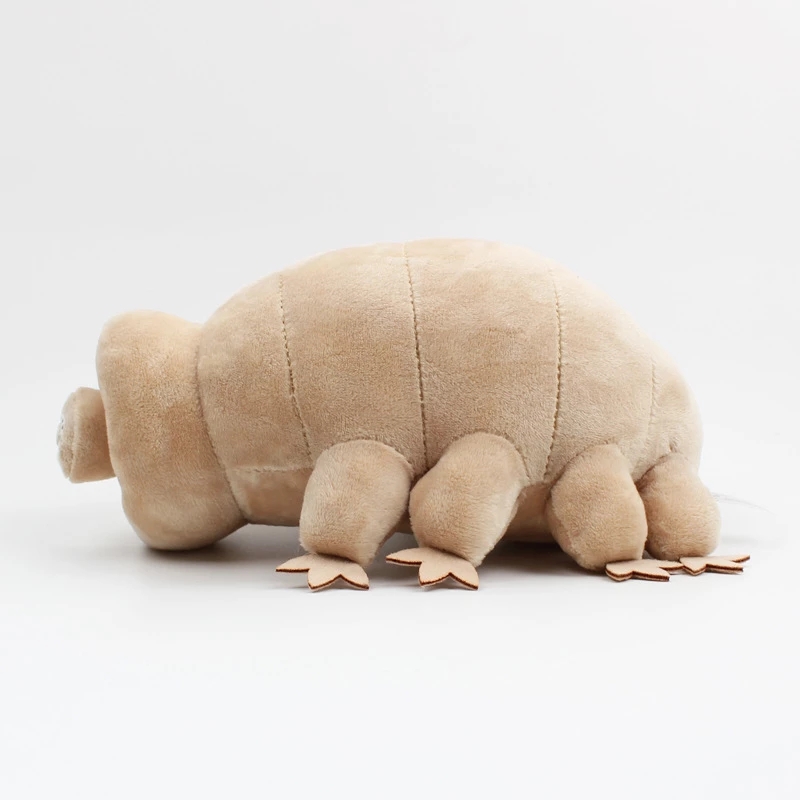 25cm Water Bear Tardigrade Plu - đánh giá và giá Kids Education Movies