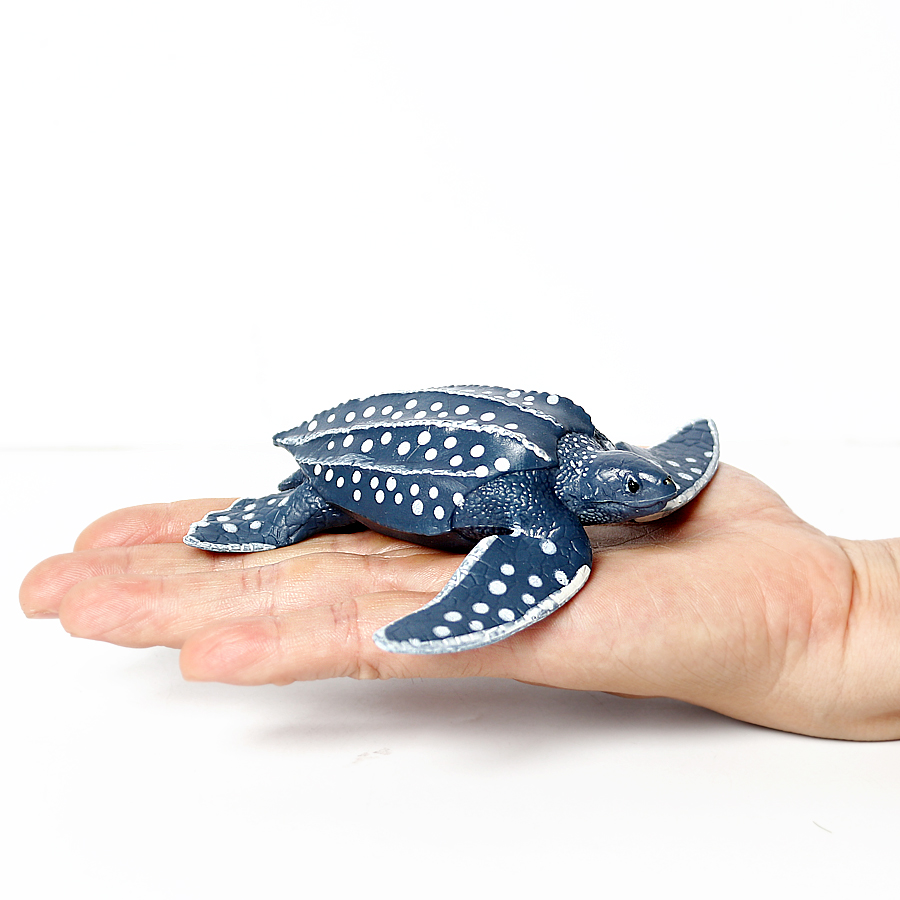Simulation Chinese Softshell L - đánh giá và giá Kids Education Picture