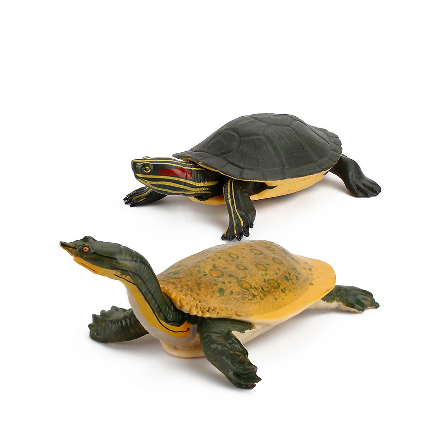 Simulation Chinese Softshell L - đánh giá và giá Kids Education Picture