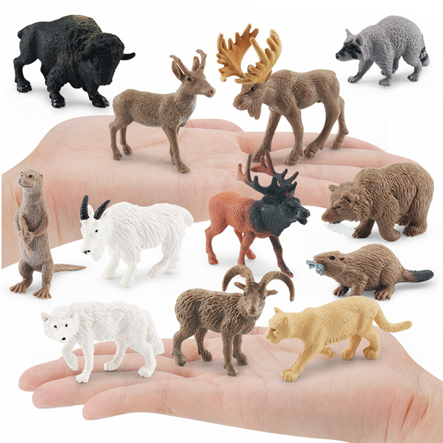 Realistic North American Anima - đánh giá và giá Kids Education Picture