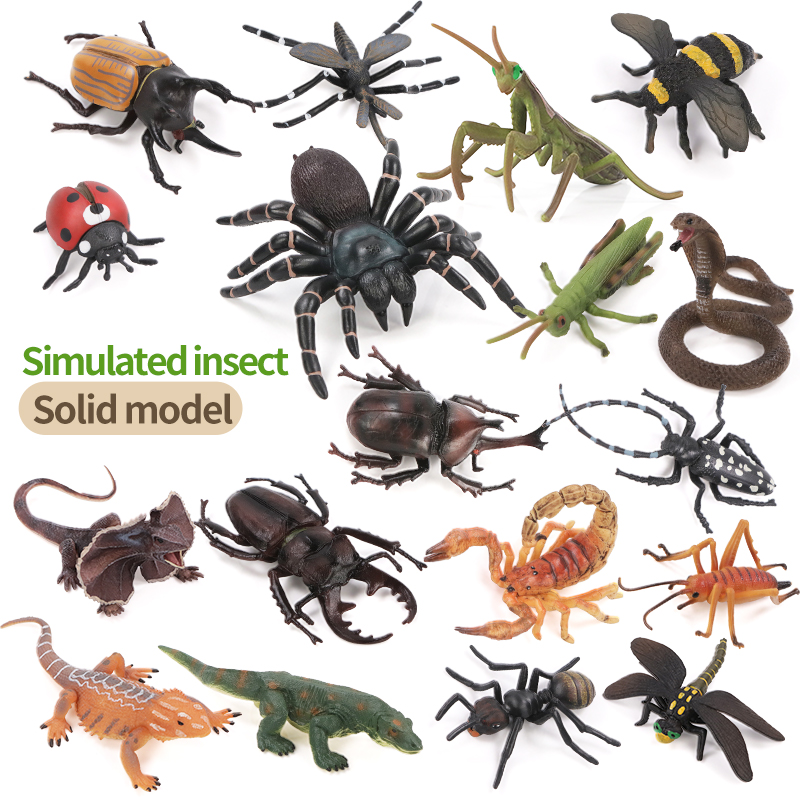 Educational Simulation Insect  - đánh giá và giá Kids Education Movies