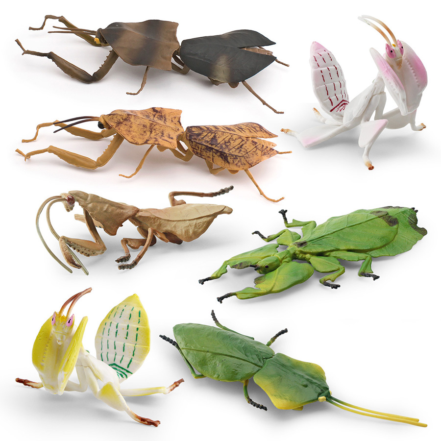 Realistic Orchid Mantis Dead L - đánh giá và giá Kids Education Picture
