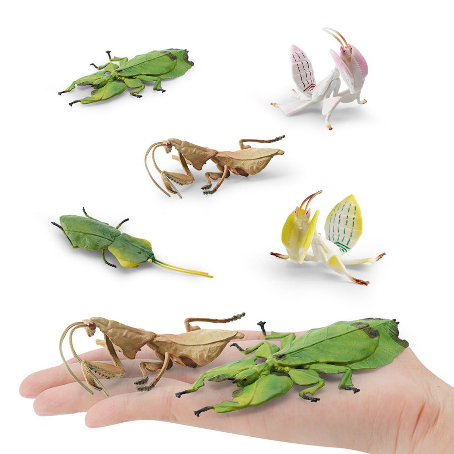 Realistic Orchid Mantis Dead L - đánh giá và giá Kids Education Picture